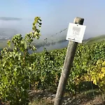 Sybille Kuntz Weingut Gaestehaus شقة