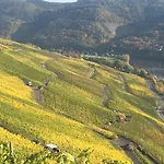 Sybille Kuntz Weingut Gaestehaus شقة
