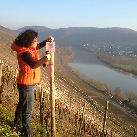 Sybille Kuntz Weingut Gaestehaus *