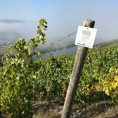 Sybille Kuntz Weingut Gaestehaus Apartament