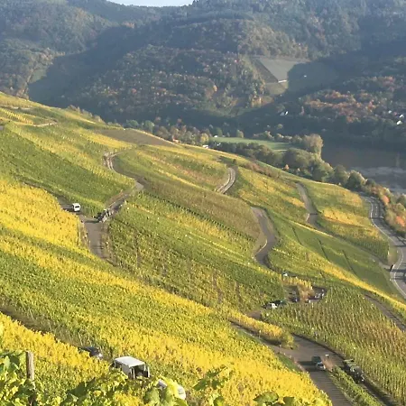 Sybille Kuntz Weingut Gaestehaus Lägenhet