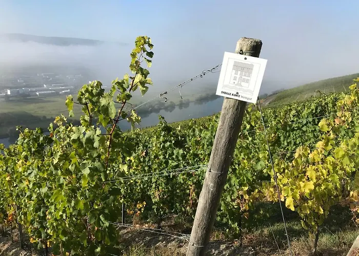 Sybille Kuntz Weingut Gaestehaus 아파트