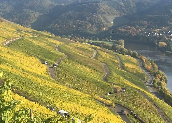 Sybille Kuntz Weingut Gaestehaus 아파트