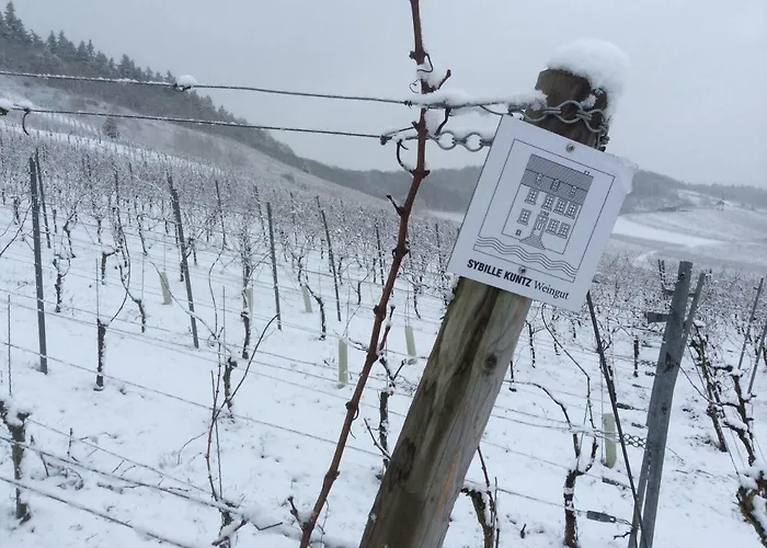 Sybille Kuntz Weingut Gaestehaus * 리서